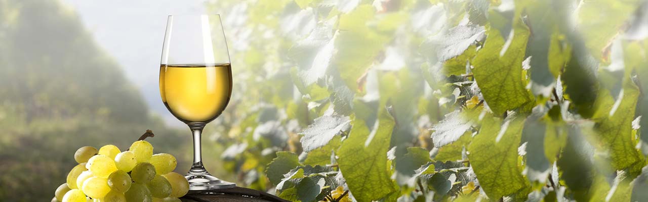 Farmy na Sicílii na dovolenku na jedlo a víno