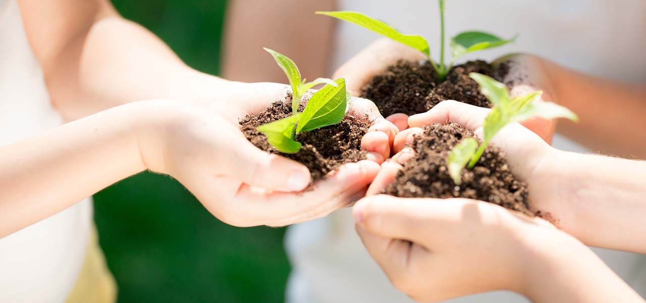 Organické farmy v Toskánsku