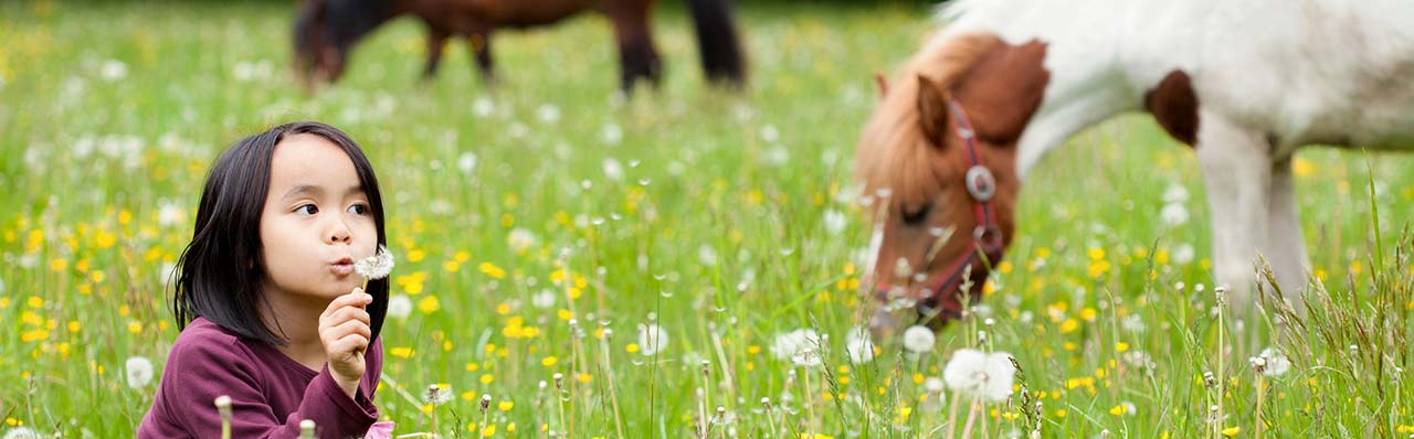 Sicílske farmy so vzdelávacou farmou